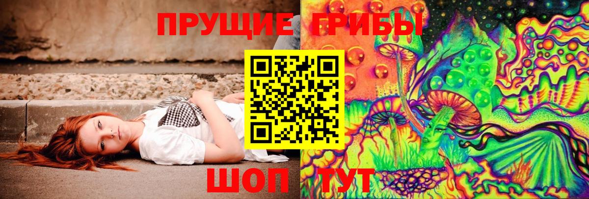 Псилоцибиновые грибы Psilocybe Хасавюрт